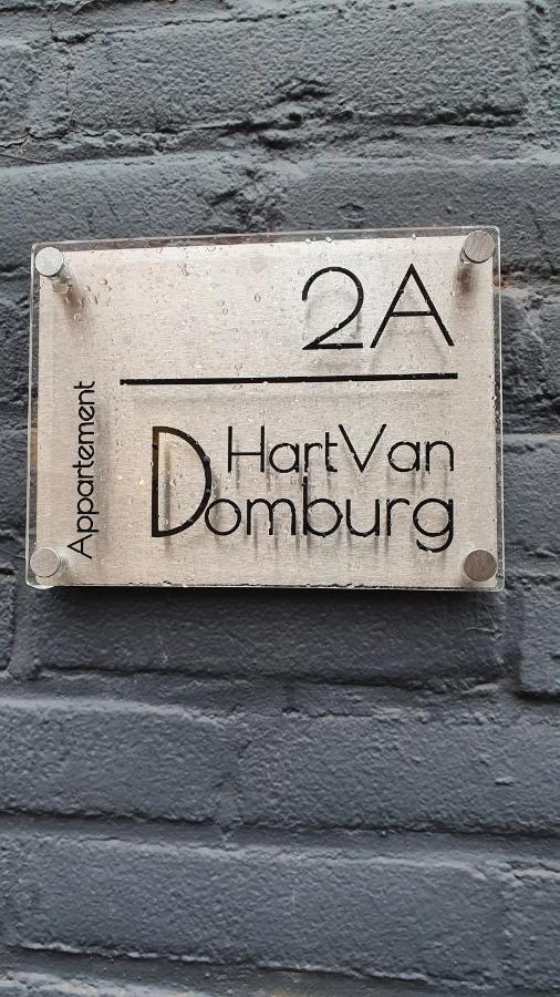 Schitterend Appartement Hartvandomburg Exteriör bild